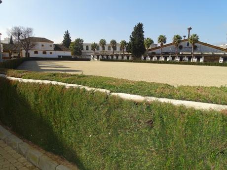 Jerez de la Frontera y la Casa del Caballo: Un paseo por la Real Escuela Andaluza de Arte Ecuestre