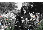 Pigmy Ryan O’Reilly Costello Club