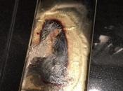 Marcas Celulares Explotan