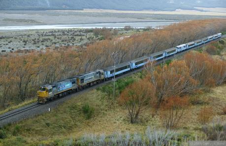 Día 12, Isla Sur de costa a costa, Punakaiki – Kaikoura