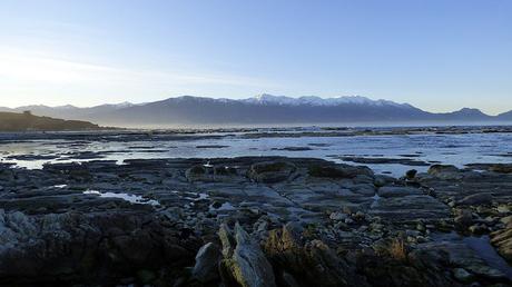 20180929 Kaikoura (59)