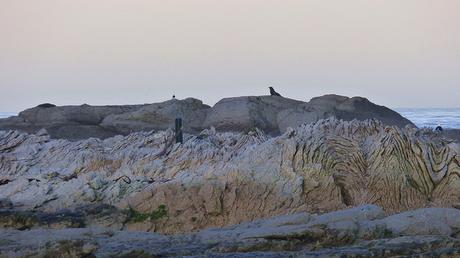 20180929 Kaikoura (65)