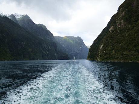 Día 8, Milford Sound