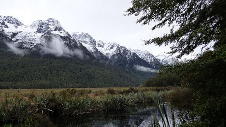 Día 8, Milford Sound