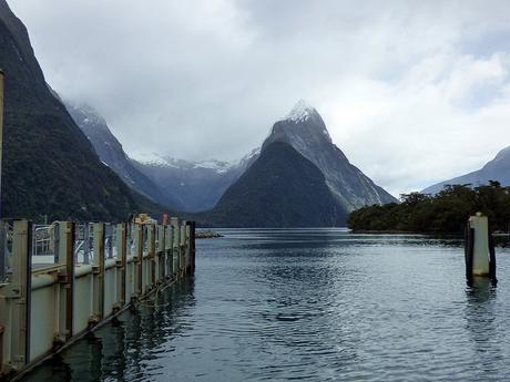 Día 8, Milford Sound