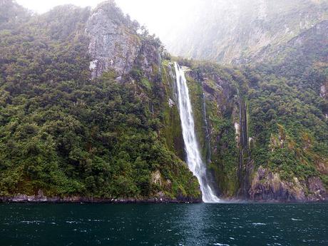 Día 8, Milford Sound