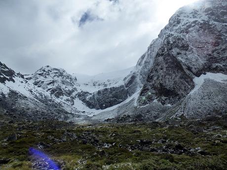 Día 8, Milford Sound