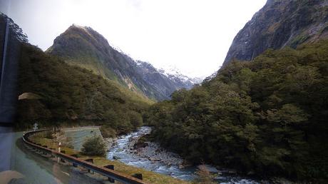 Día 8, Milford Sound