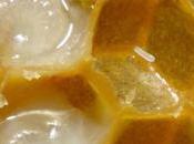 Jalea Real beneficios, formas contraindicaciones