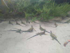 Una Isla Bella En Medio Del Más Colorido Mar, San Andres Colombia