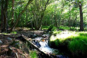 Parque Natural del Moncayo. Zaragoza. Del 19 al 22 de abril.