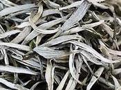 Blanco, Propiedades, formas usos contraindicaciones