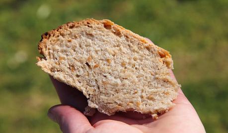 PAN DE ESPELTA INTEGRAL CON SEMILLAS DE LINO PAN DE ESPELTA INTEGRAL CON SEMILLAS DE LINO