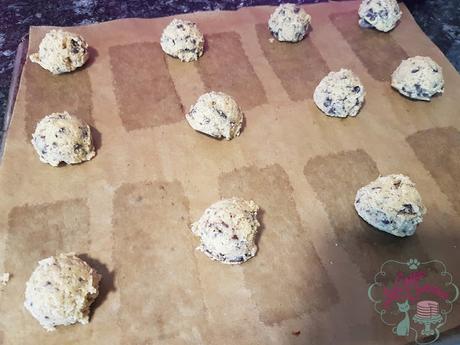 GALLETAS CRUJIENTES CON CHIPS DE CHOCOLATE