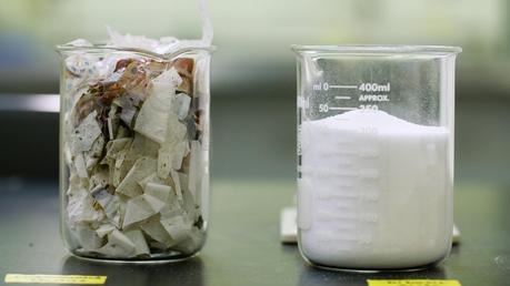 BioCellection BioCellection