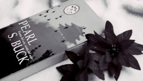 IMM: Últimos leídos + Próximas lecturas