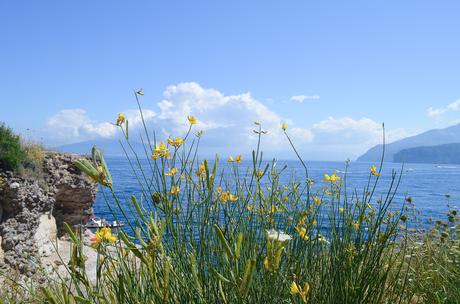 Costa Amalfitana con base en Sorrento