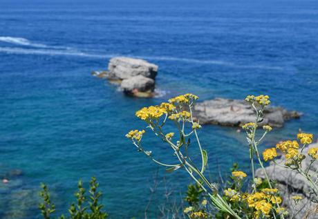 Costa Amalfitana con base en Sorrento