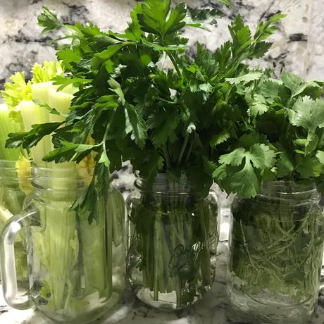 Tips para conservar mejor las hojas verdes