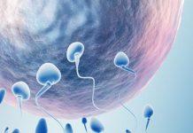 Sangrado de implantación: ¿que es?¿Cuando se produce? Sangrado de implantación: ¿Que es?¿Cuando se produce?