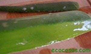 Cómo hacer Gel de Aloe Vera