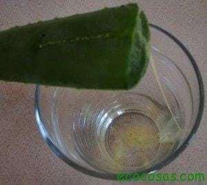 Cómo hacer Gel de Aloe Vera