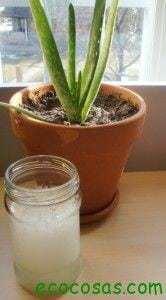 Cómo hacer Gel de Aloe Vera