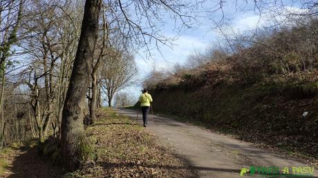 Carretera hacia Cotomonteros por la Ruta del Buitre