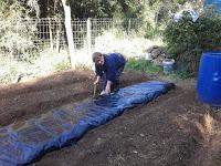 Preparando el huerto