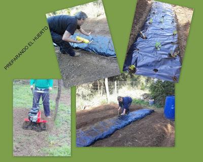 Preparando el huerto