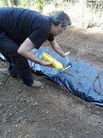 Preparando el huerto