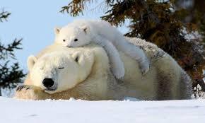 Miércoles Mudo Tranquilidad al Natural