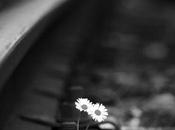 Descarril-ando