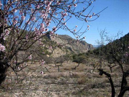 El embalse renacentista de Tibi