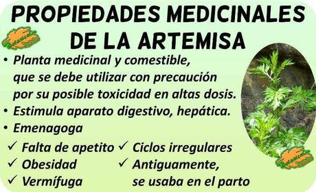 Es La Hora Del Vermú