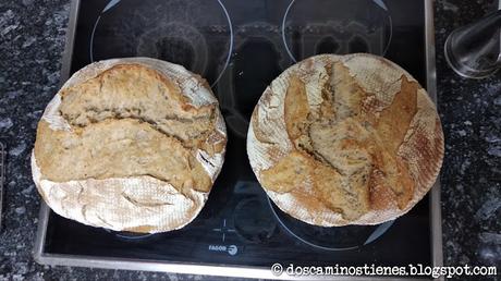 (Pan Casero) Hogaza con harina de trigo vs Hogaza con harina de fuerza (Nº 7 y Nº 8)