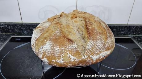 (Pan Casero) Hogaza con harina de trigo vs Hogaza con harina de fuerza (Nº 7 y Nº 8)