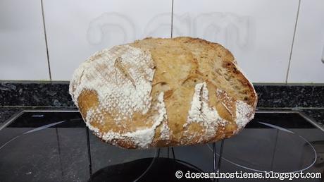 (Pan Casero) Hogaza con harina de trigo vs Hogaza con harina de fuerza (Nº 7 y Nº 8)