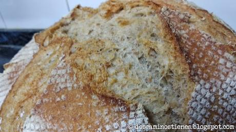 (Pan Casero) Hogaza con harina de trigo vs Hogaza con harina de fuerza (Nº 7 y Nº 8)