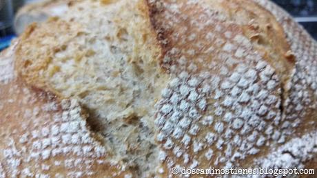 (Pan Casero) Hogaza con harina de trigo vs Hogaza con harina de fuerza (Nº 7 y Nº 8)