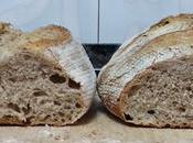 (Pan Casero) Hogaza harina trigo fuerza