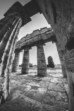 Tony Jiménez: La plaga de Troya