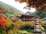 Verso Improvisado, poema Patriarca Heoeung Dang