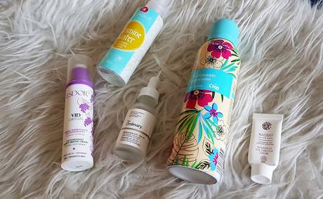 Terminados Febrero 2019