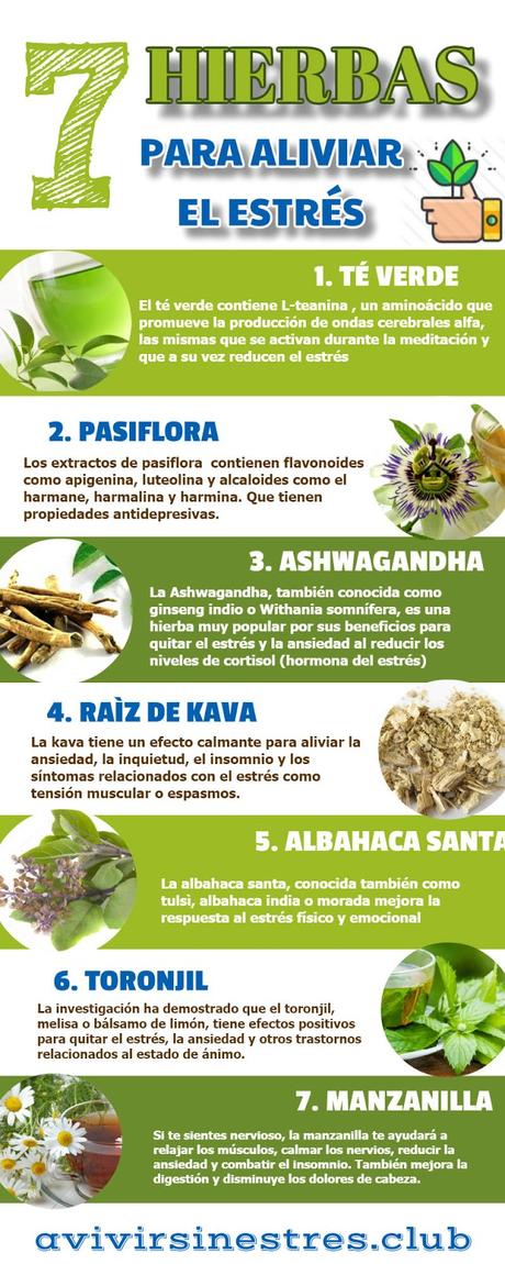 Infografía[ 7 Hierbas para aliviar el Estrés - Paperblog