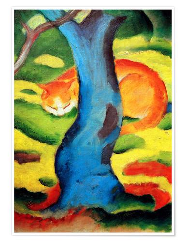 Paisajes ( varios temas )