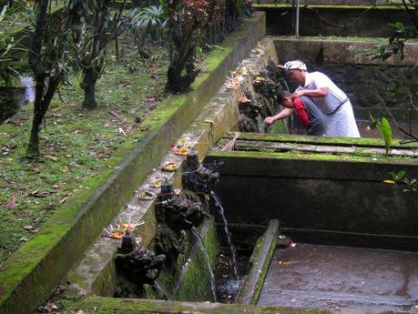 Arrozales de Jatiluwih. Recorriendo Bali de Lovina a Balian Beach