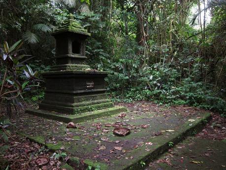 Arrozales de Jatiluwih. Recorriendo Bali de Lovina a Balian Beach