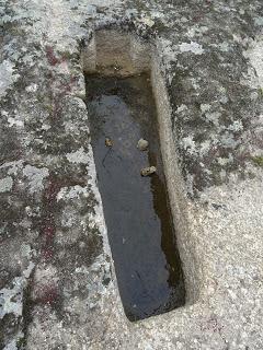 Necrópolis visigoda de Arroyo de la Luz: álbum fotográfico actualizado