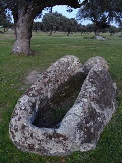 Necrópolis visigoda de Arroyo de la Luz: álbum fotográfico actualizado